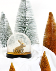 Snow globe - Animal or Santa Claus 