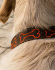 Personalized dog collar