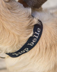 Personalized dog collar