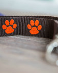 Personalized dog leash