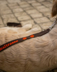 Personalized dog leash